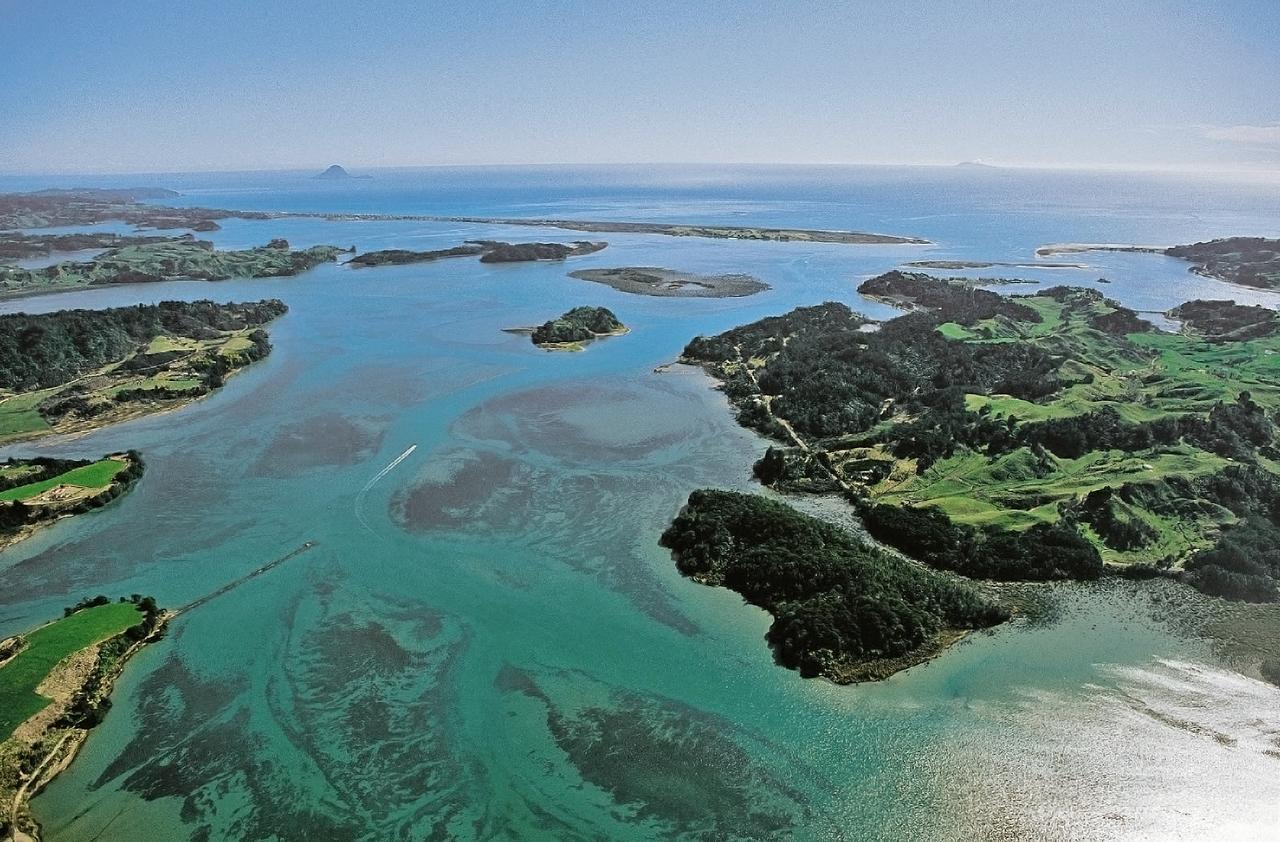 Ohiwa Seascape Studios Opotiki Zewnętrze zdjęcie